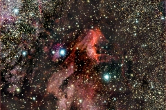 IC 5067 The Pelican-Nebula