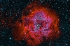 Caldwell 49 Rosette Nebula