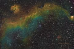 IC 2177 The Seagull Nebula