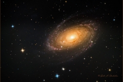 M81 Bode\'s Galaxy