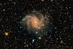 NGC 6946 The Fireworks Galaxy