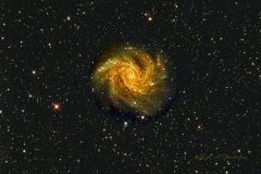 NGC 6946 The Fireworks Galaxy