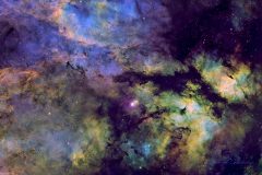 IC1318 Sadr and the Butterfly