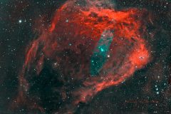 Sh2-129 The Flying Bat and Squid Nebulae