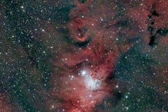 NGC2264 Christmas Tree Cluster