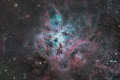 Tarantula Nebula