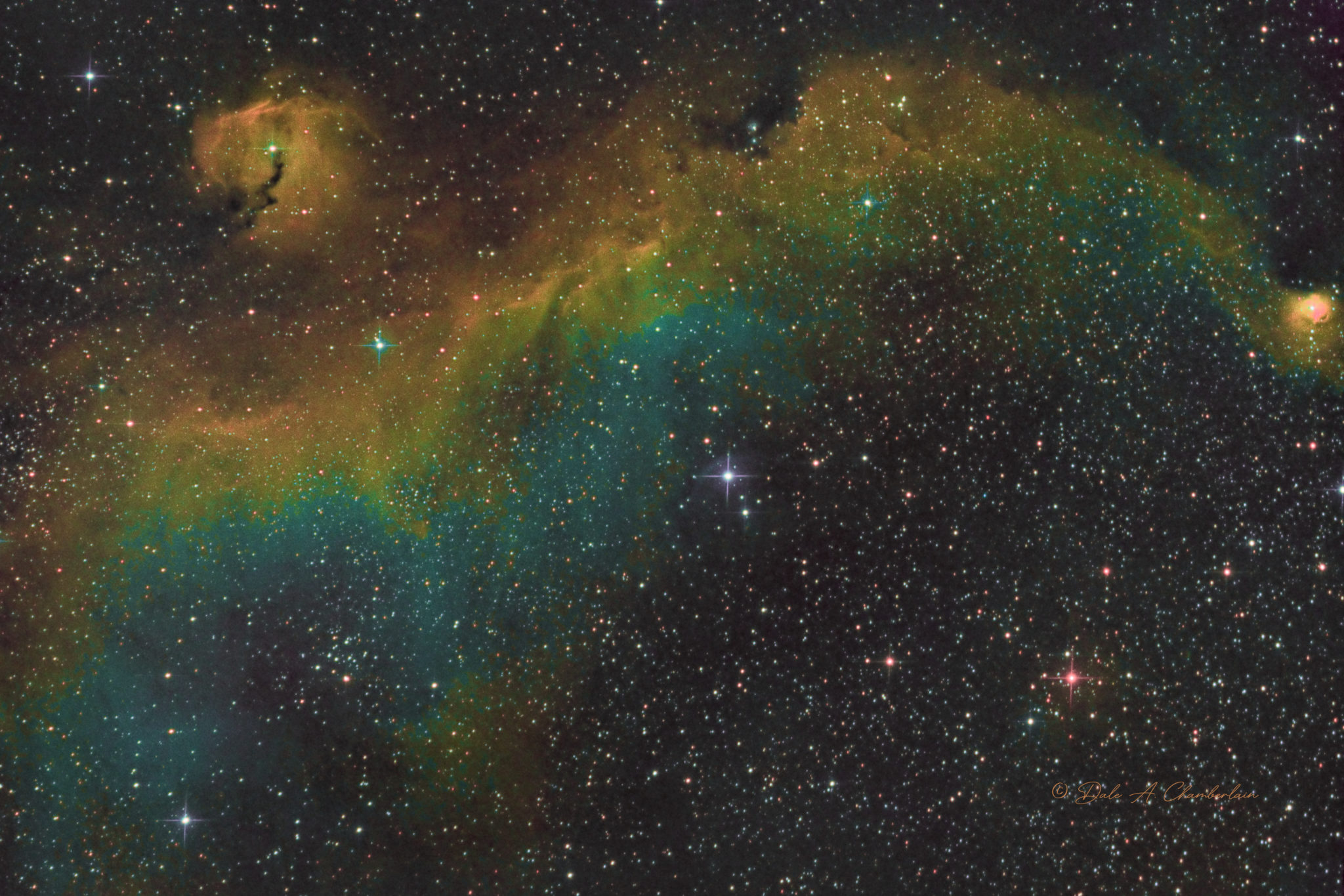 IC 2177 The Seagull Nebula : Chamberlain Observatory